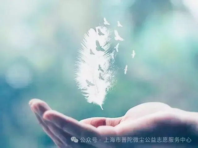 图片13.png