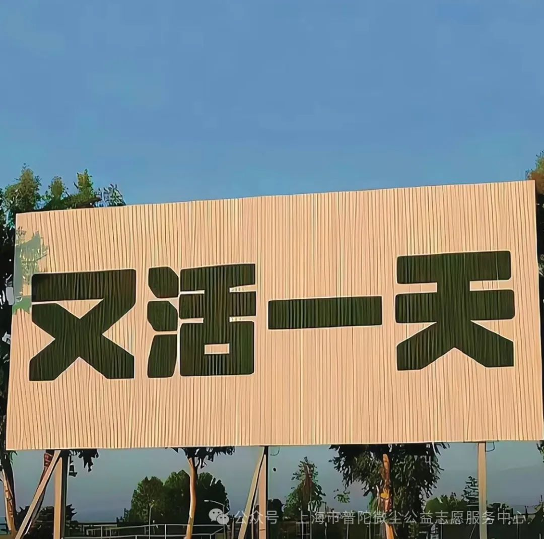 图片16.png