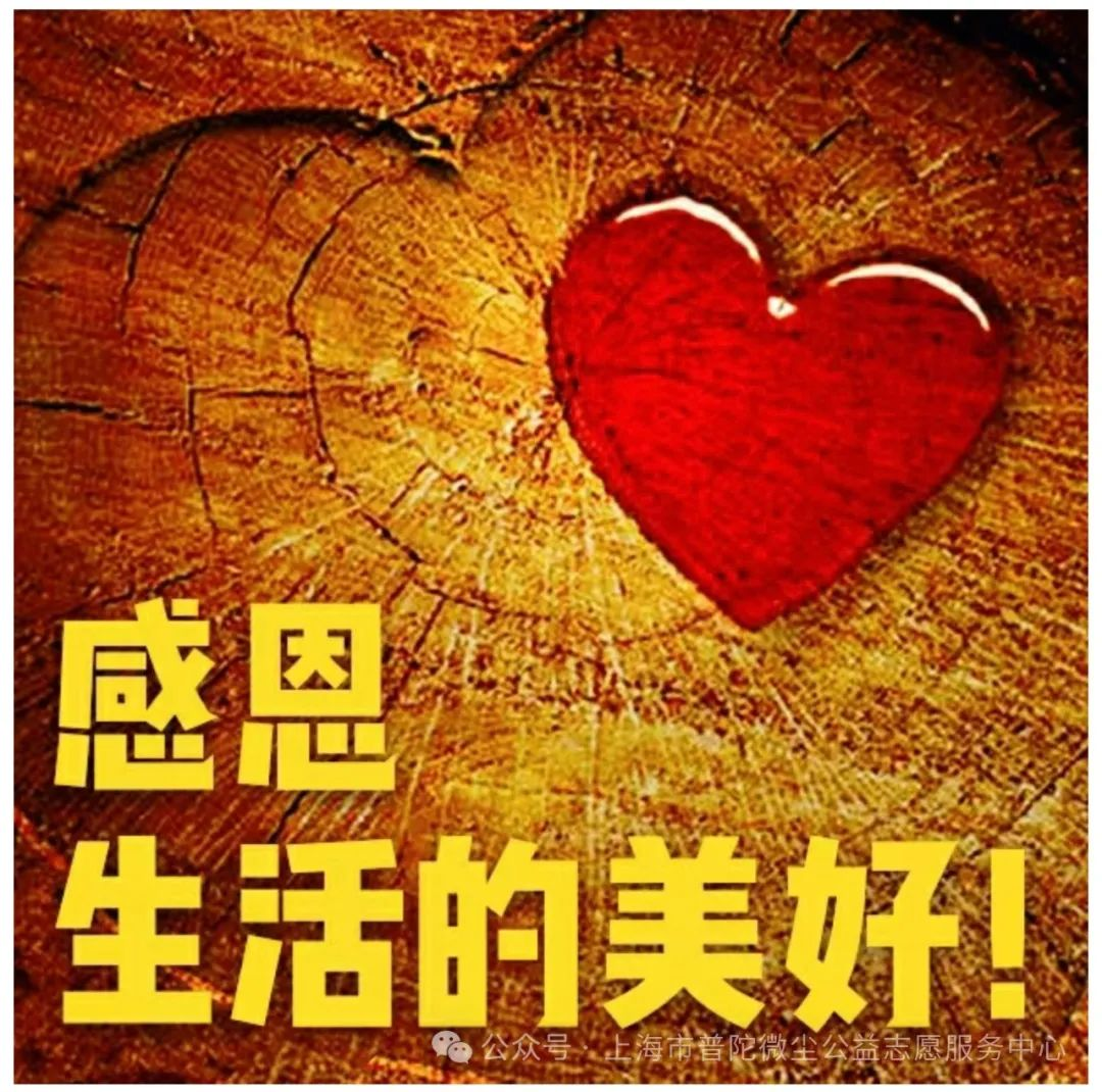 图片26.png